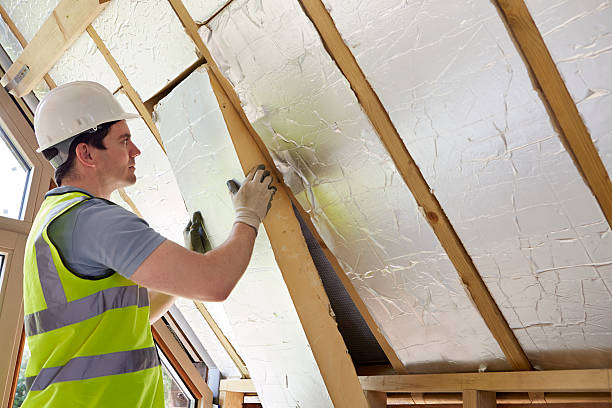 Best Eco-Friendly Insulation in Jackson, MO