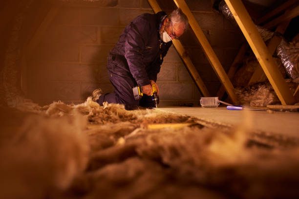 Best Insulation Maintenance and Repair in Jackson, MO