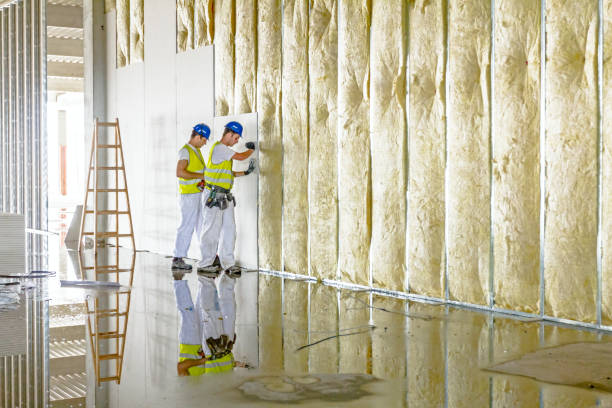 Best Geographic-Specific Insulation Services in Jackson, MO